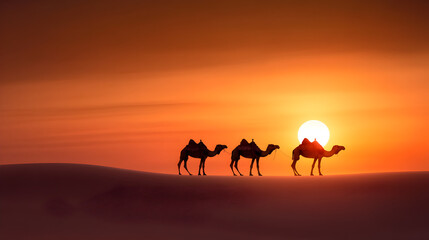 silhouettes of camels at sunset