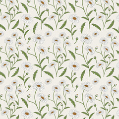 Colorful Floral Pattern with Leaves. Cute Small Daisy on Seamless Background. White Daisy Flowers Pattern.