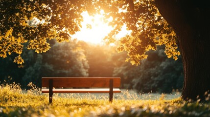 Serene Park Bench Sunset Nature Photography for Calm and Relaxation
