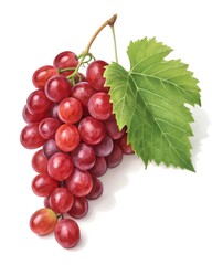 Fototapeta premium bunch of red grapes isolated on white background