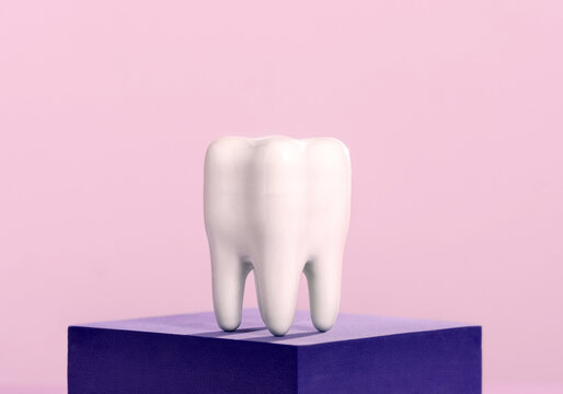 Model of human tooth on violet podium on pibk background.