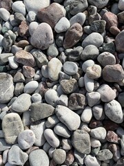 many different stones on the beach