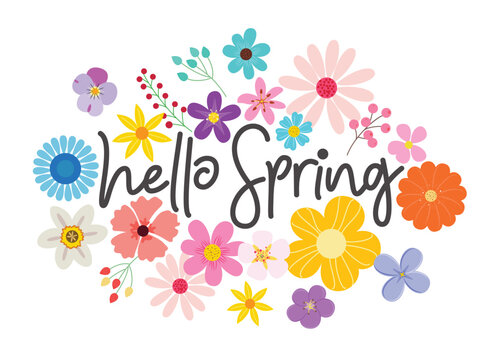 Hello spring greeting text clipart design. Spring flower bouquet in colorful watercolor drawing for greeting and invitation card clip art. Vector illustration floral bouquet design.   
