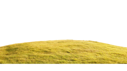 Golden Hour Sunset landscape concept. Vibrant yellow field on transparent background.