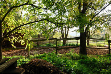 Rustic wooden fence in the middle of a forest meadow