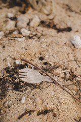 Broken wooden fork on sandy beach