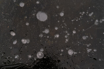 Air Bubbles in the Ice