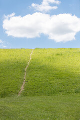 Worn Path on Bright Green Grassy Hill Under Blue Sky with Puffy Cloud