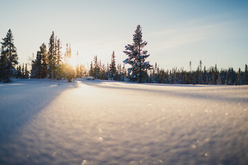 Golden sunlight streaming through snow-covered trees in Trilleva