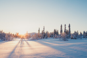 Sun casting long shadows over a snow-covered field in Trillevall