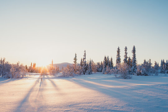 Sun casting long shadows over a snow-covered field in Trillevall