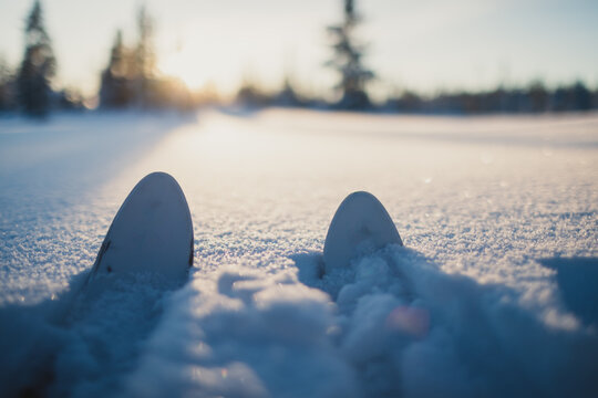 Ski tips breaking through fresh snow under a bright winter sunri