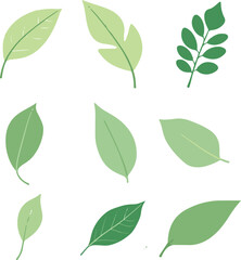  set of green leaves 