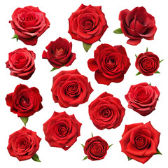 Beautiful Red Roses Collection Floral Design Background love dark plant bloom image photo 