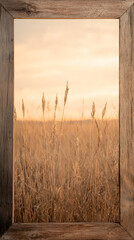 Fototapeta premium rustic wooden frame showcases golden grass at sunset, creating serene view