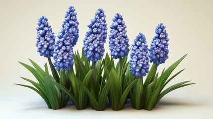 Obraz premium Lush blue hyacinth blooms with green foliage on light background