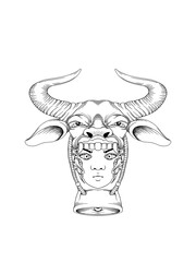 bull head isolated on white