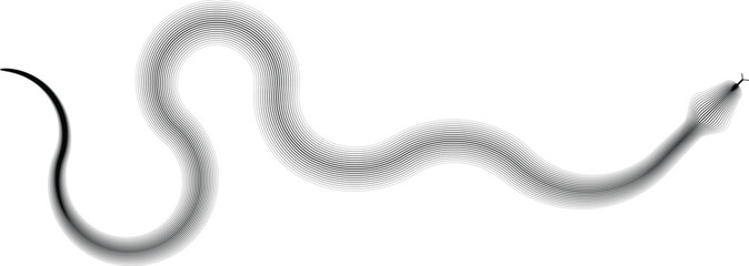 Snake logo. Chinese new year 2025 zodiac snake symbol .design elements .Abstract flow linear fluid shapes .Curved lines pattern . Vector illustration
