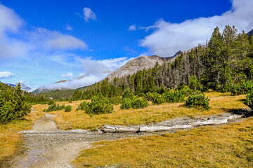 Ofenpass, Wanderweg, Saumpfad, Champl&ouml;nch, Alp Champl&ouml;nch, Moor, Nadelwald, Bergf&ouml;hre, Fichte, L&auml;rche, Nationalpark, Schweizer Berge, Alpen, Graub&uuml;nden, Herbst, Herbstfarben, Schweiz