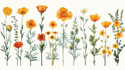 Elegant White Flowers Vector Illustration