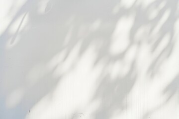 Obraz premium Shadow from heavy rain white wall minimalist.