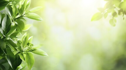 Fresh Green Buds and Leaves on Blurred Background - Young Foliage in Sunlight at Summer Garden. 