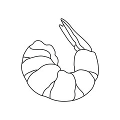 Hand drawn kids drawing vector illustration cooked shrimp cartoon isolated