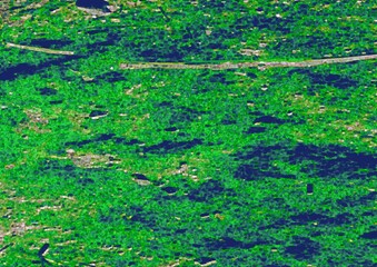 background with paint