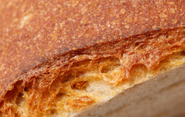 A slice of bread with a brown crust and a slightly burnt edge