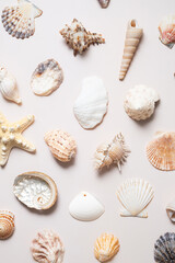 Summery background with sea shells collections.
