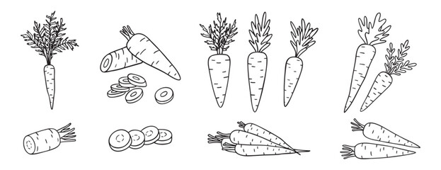 carrots, whole vegetable and piece of carrot doodle hand drawn icon set. Outline drawing carrot line clipart symbol collection