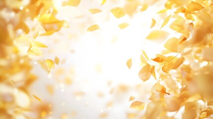 Obraz premium Golden leaves falling softly in bright sunlight