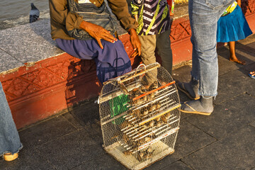 People selling caged birds for offerings and releasing them to gain merit, Phnom Penh, Cambodia.