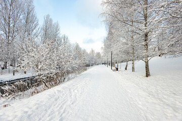 Obraz premium forest, snow-covered, background, hoarfrost, landscape, outdoor, russian winter, snowy, weather, countryside, cold, beautiful, beauty, blue, branch, christmas, climate, country, covered, day, december