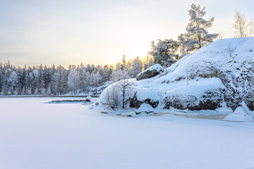 A forest covered with snow, winter landscape in the forest, snow-covered frozen trees, Russian winter, sunny winter day in the countryside