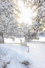 Fototapeta premium forest, snow-covered, background, hoarfrost, landscape, outdoor, russian winter, snowy, weather, countryside, cold, beautiful, beauty, blue, branch, christmas, climate, country, covered, day, december