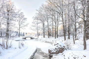 A forest covered with snow, winter landscape in the forest, snow-covered frozen trees, Russian winter, sunny winter day in the countryside