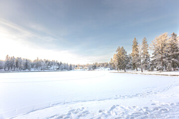 forest, snow-covered, background, hoarfrost, landscape, outdoor, russian winter, snowy, weather, countryside, cold, beautiful, beauty, blue, branch, christmas, climate, country, covered, day, december