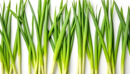 Fototapeta premium Vibrant Green Scallions: A Fresh, Minimalist Culinary Still Life