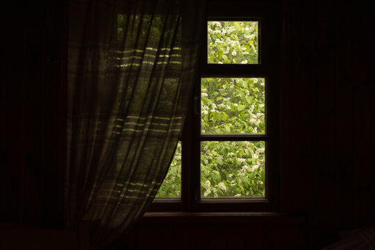 Fototapeta spring time, view from an old village window to a blooming garden