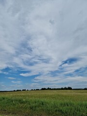 A rural countryside landscape, a wide-open field under a vast blue sky adorned with fluffy white clouds, a sense of tranquility, slow living