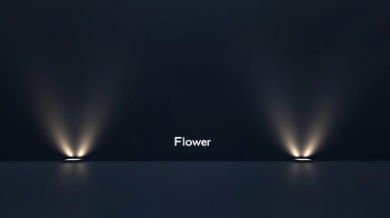 The vector set of light includes a light source, studio lighting, walls, and a PNG. It also includes spotlight lighting and a spotlight PNG. Finally, it includes light beams and a light effect.