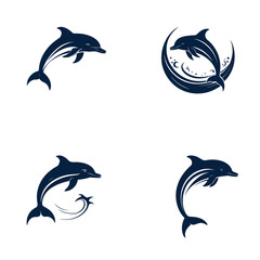 Best Dolphin Vector icon set