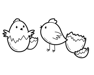 Newborn chickens in the broken eggs shell. Little birds. Outline illustration, isolated on white background	