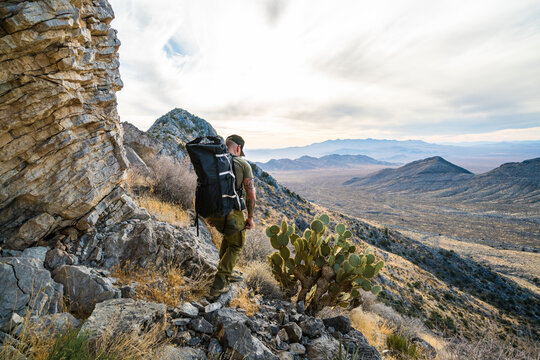 Rear view of backpack hiking next to a prickly pear cactus.