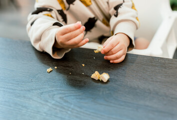 Obraz premium Toddler's Hands Picking Up Food from the Table 