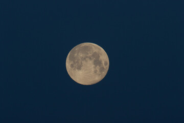 Obraz premium The magnificent Wolf Moon, the first full Moon of January 2025 seen from Hertford Heath, UK.