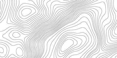 Topography and geography map grid abstract backdrop, Modern design with White background.   © Nazmul