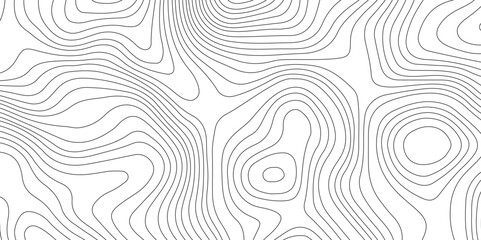 Topography and geography map grid abstract backdrop, Modern design with White background.	
