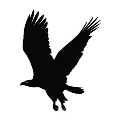Powerful Silhouette of a Soaring Bird of Prey. Symbol of Eagle vector, Eagle Icon, Eagle Logo, Eagle Drawing.
